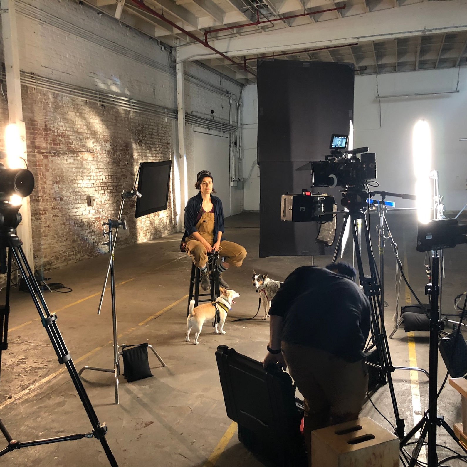 6c247c_aae1b22424194c06810b1157ad0251e4-mv2 (2)