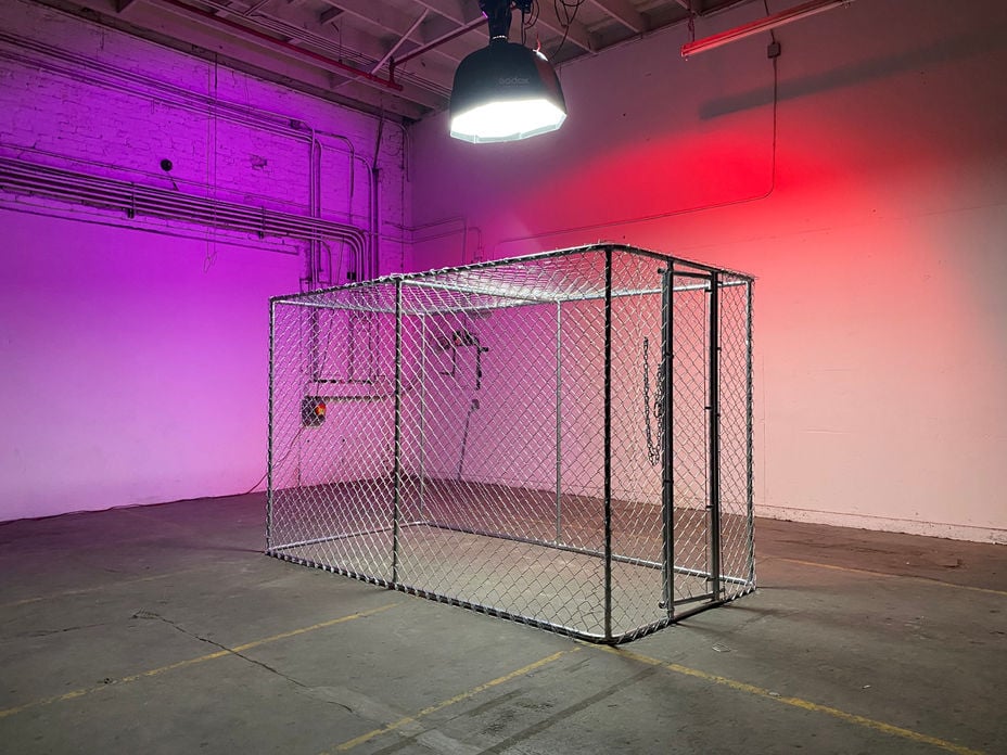 6c247c_eb114ef4dbb344f3b7fbd5576e20148c-mv2 (1)